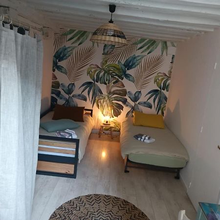 Apartament Le Logis De La Rue Des Arts Blois Zewnętrze zdjęcie