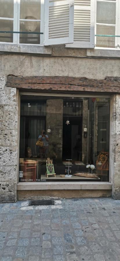Apartament Le Logis De La Rue Des Arts Blois Zewnętrze zdjęcie