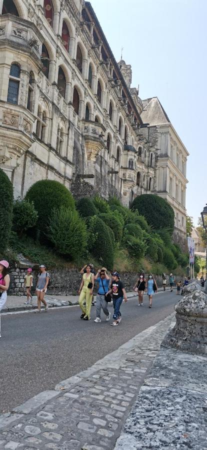 Apartament Le Logis De La Rue Des Arts Blois Zewnętrze zdjęcie
