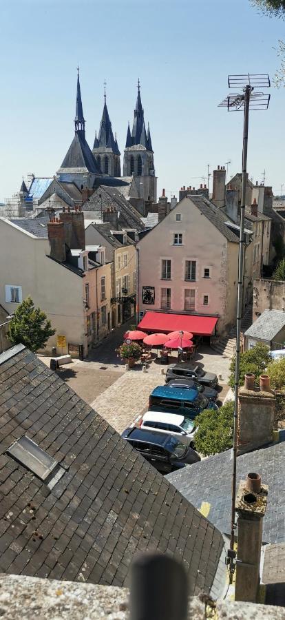 Apartament Le Logis De La Rue Des Arts Blois Zewnętrze zdjęcie