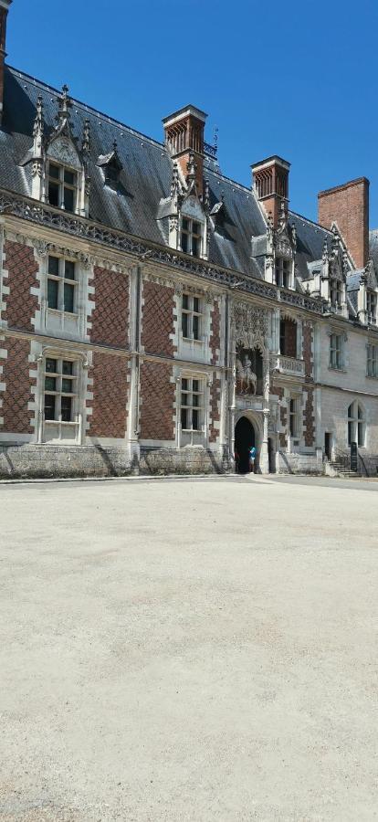 Apartament Le Logis De La Rue Des Arts Blois Zewnętrze zdjęcie